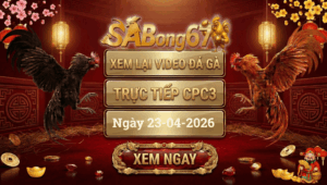 Phát Lại Đá Gà CPC3 Trực Tiếp Ngày 23/04/2026