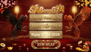 Phát Lại Đá Gà CPC4 Trực Tiếp Ngày 27/04/2026