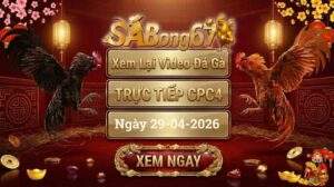 Phát Lại Đá Gà CPC4 Trực Tiếp Ngày 29/04/2026