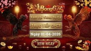 Xem Lại Video Đá Gà CPC2 Trực Tiếp Ngày 01/04/2026