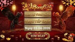 Xem Lại Video Đá Gà CPC2 Trực Tiếp Ngày 03/04/2026