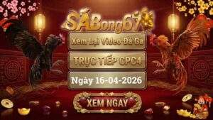 Xem Lại Video Đá Gà CPC4 Trực Tiếp Ngày 16/04/2026