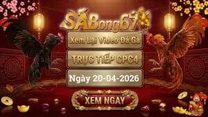 Xem Lại Video Đá Gà CPC4 Trực Tiếp Ngày 20/04/2026
