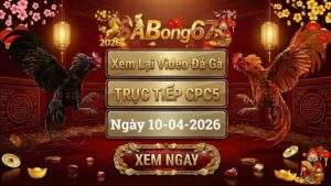 Xem Lại Video Đá Gà CPC5 Trực Tiếp Ngày 10/04/2026