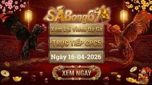 Xem Lại Video Đá Gà CPC5 Trực Tiếp Ngày 16/04/2026