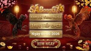 Phát Lại Full Clip Đá Gà CPC2 Ngày 01/05/2026