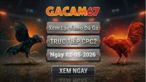 Phát Lại Full Video Đá Gà CPC2 Ngày 02/05/2026