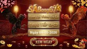 Phát Lại Video Đá Gà CPC2 Ngày 09/05/2026
