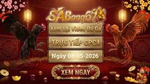 Phát Lại Video Đá Gà CPC4 Ngày 08/05/2026
