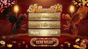 Phát Lại Video Đá Gà CPC4 Ngày 12/05/2026