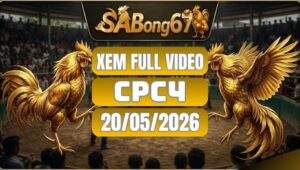 Phát Lại Video Đá Gà CPC4 Ngày 20/05/2026
