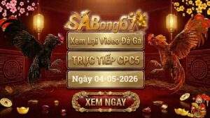 Phát Lại Video Đá Gà CPC5 Ngày 04/05/2026