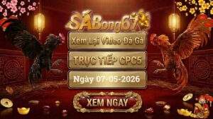 Phát Lại Video Đá Gà CPC5 Ngày 07/05/2026