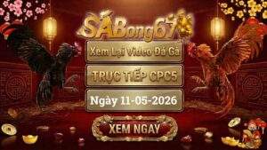 Phát Lại Video Đá Gà CPC5 Ngày 11/05/2026