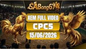 Phát Lại Đá Gà CPC5 Ngày 15/06/2026 Tại SABONG67