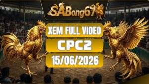 Phát Lại Đá Gà CPC2 Ngày 15/06/2026 Tại SABONG67